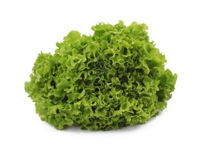 Салат айсберг 300 г - купить в Пумаре